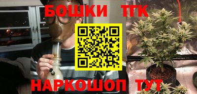 мескалин Камышлов