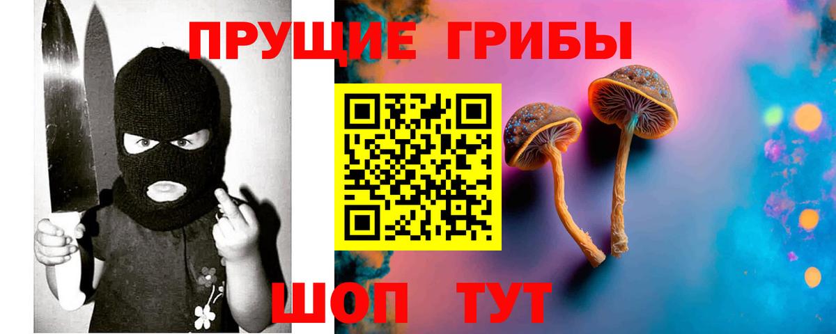 Псилоцибиновые грибы Psilocybe  Вход с VPN  Магнитогорск 